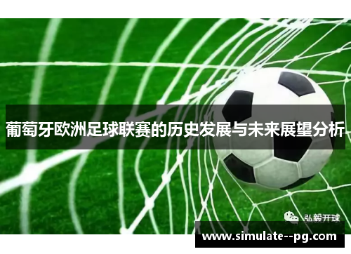 葡萄牙欧洲足球联赛的历史发展与未来展望分析