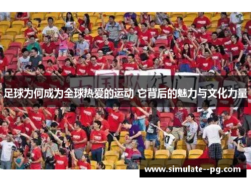足球为何成为全球热爱的运动 它背后的魅力与文化力量