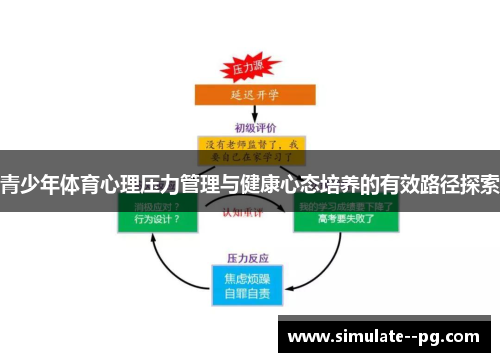 青少年体育心理压力管理与健康心态培养的有效路径探索