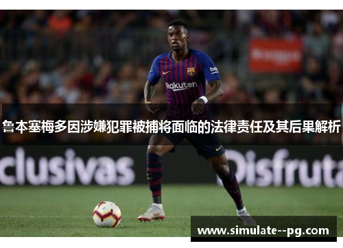 鲁本塞梅多因涉嫌犯罪被捕将面临的法律责任及其后果解析